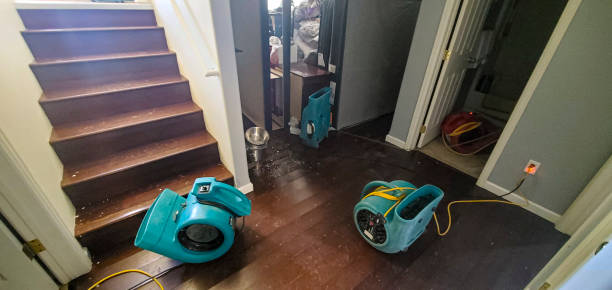 Reliable Dunellen, NJ Water damage restoration Solutions