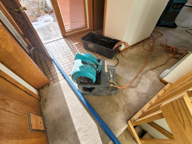 Best Water damage restoration near me  in Dunellen, NJ
